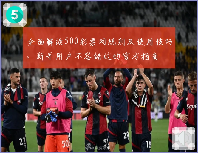 全面解读500彩票网规则及使用技巧，新手用户不容错过的官方指南